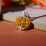 11 Mukhi Rudraksha Meaning and Spiritual Power